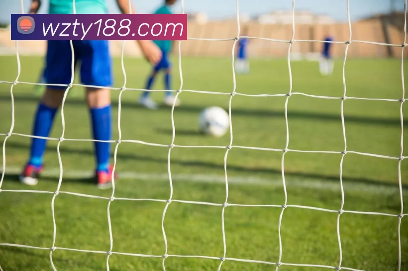 王者体育官网平台生态图