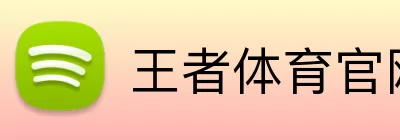 王者体育官网 Logo